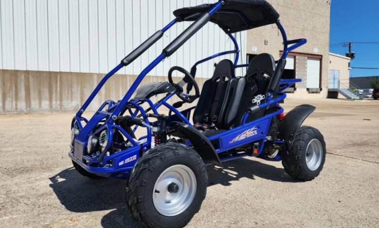 TrailMaster Go Kart